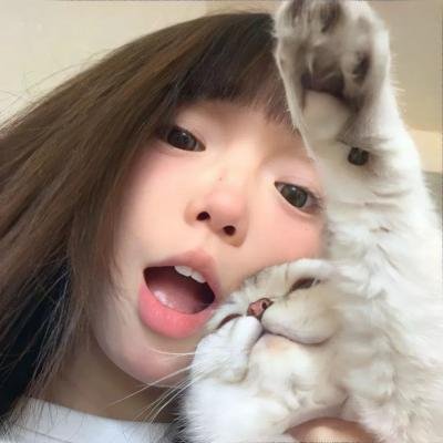 复仇者